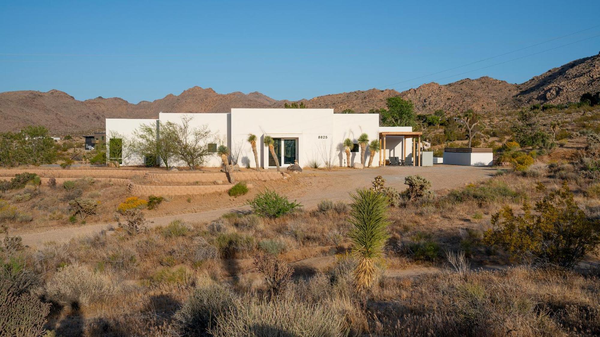 Experience Desert Serenity Gateway To Joshua Tree Zewnętrze zdjęcie