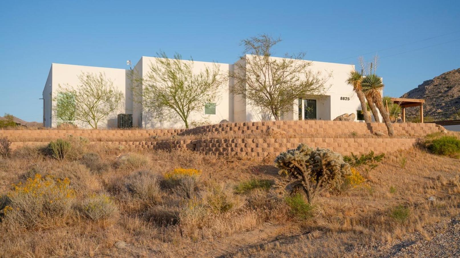 Experience Desert Serenity Gateway To Joshua Tree Zewnętrze zdjęcie