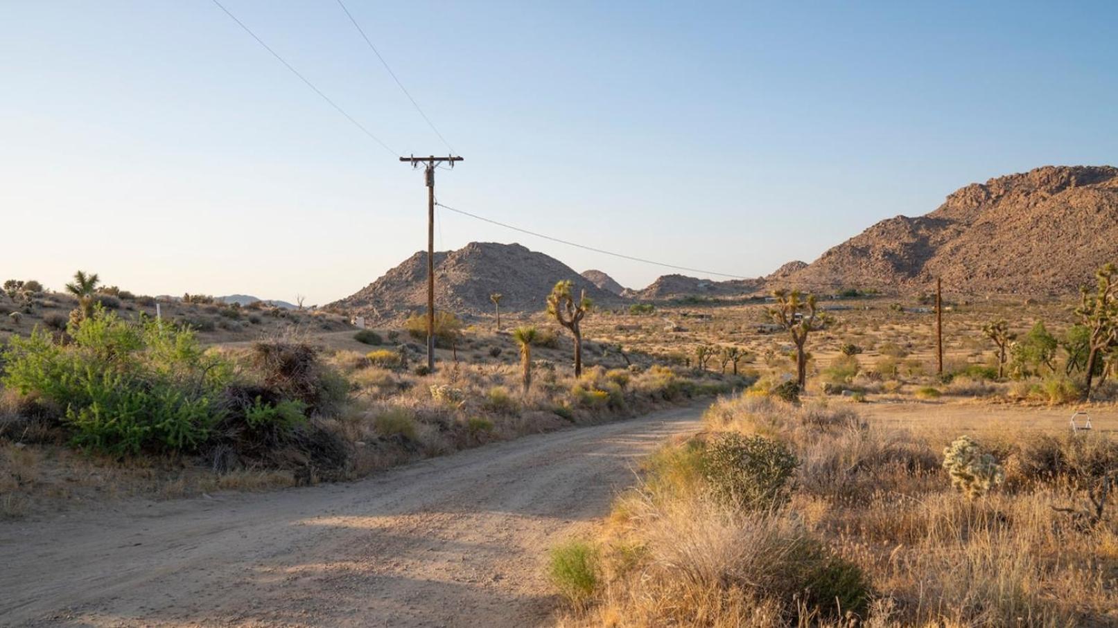 Experience Desert Serenity Gateway To Joshua Tree Zewnętrze zdjęcie